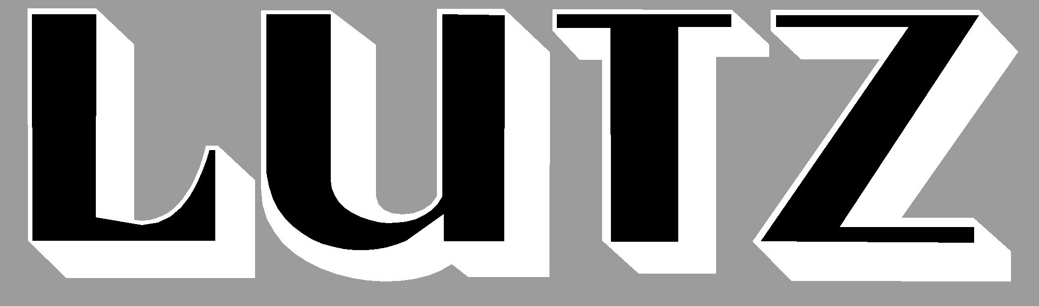 Lutz GmbH + Co. KG Maschinenfabrik Logo